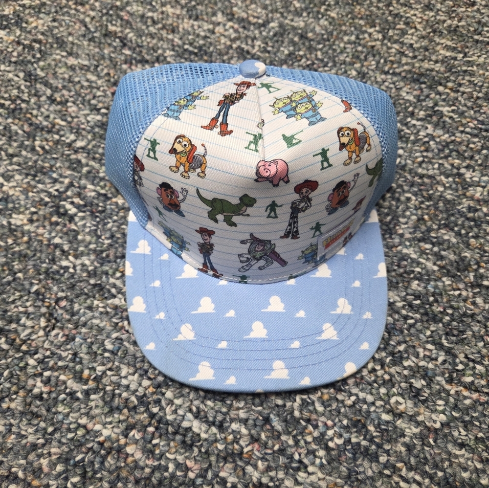 Brimmz Hat